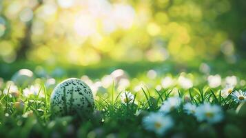 ai generado Pascua de Resurrección huevo en el césped con bokeh antecedentes. contento Pascua de Resurrección foto