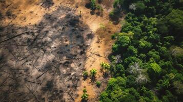 ai generado aéreo ver de un bosque fuego en el medio de el bosque foto