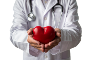 AI generated Doctor Holding Red Heart Symbol for Care png