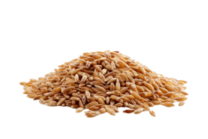 ai generato mucchio di totale grano Grano noccioli png