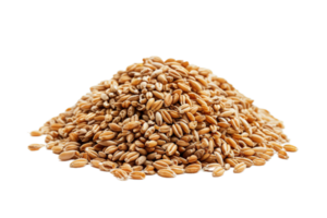 ai generato mucchio di totale grano Grano noccioli png