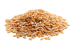 ai généré pile de entier grain blé graines png