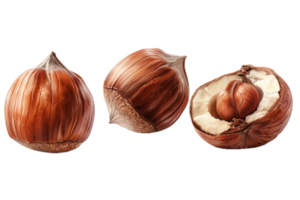 AI generated Close-Up of Hazelnuts png