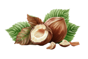 AI generated Close-Up of Hazelnuts png