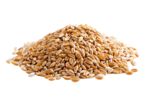 ai généré pile de entier grain blé graines png