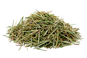 AI generated Pile of Dried Rosemary Needles png