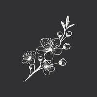 mano dibujado Cereza florecer rama. vector ilustración en negro antecedentes