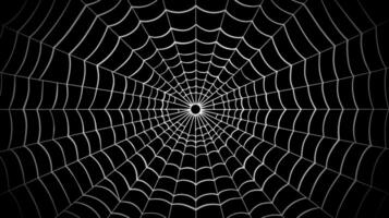 Spider web on a black background. Vector illustration of a spider web