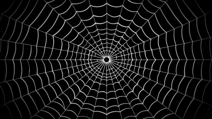 Spider web on a black background. Vector illustration of a spider web