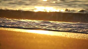 pequeno mar aceno, borrado suave espumoso ondas lavando dourado arenoso de praia em pôr do sol. oceano ondas em arenoso de praia. ninguém. feriado lazer conceito. abstrato náutico verão oceano pôr do sol natureza fundo. video