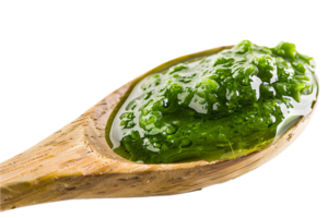 AI generated Green Seaweed Gel on Wooden Spoon png