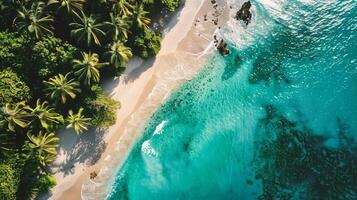 ai generado aéreo ver de hermosa tropical playa y mar con Coco palma árbol para viaje y vacaciones foto