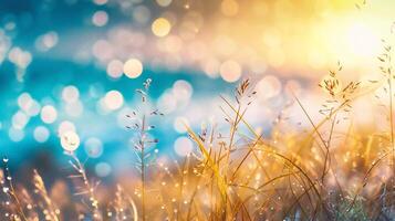 AI generated Sunset on the grass with dew drops and bokeh photo