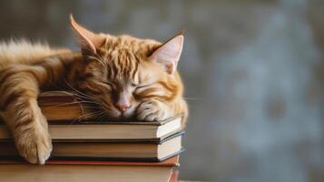 AI generated Cute cat sleeps on a stack of books. The cat is lying on the books photo