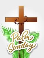 Palm Sunday greeting card design with 3D elements vector