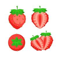 Set of fresh bright strawberries whole. Fresh farm organic berry used. Vector illustration