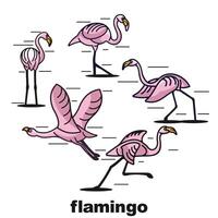 flamingo bird logo bundle collection vector