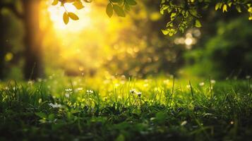 AI generated Close up of nature view green leaf on blurred greenery background under sunlight with bokeh and copy space photo