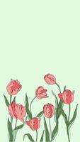 vivere illustrazione tulipani silhouette contorno cartone animato animazione petali le foglie estate primavera botanica Da donna giorno, di madre, nozze invito, modello, saluto carta, floreale disegno, fiori, impianti video