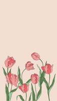 Live illustration tulips silhouette contour cartoon animation petals leaves summer spring botany women's day, mother's, wedding invitation, template, greeting card, floral design, flowers, plants video