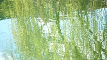 ripples on the water surface with reflection of branches of weeping willow tree and fresh green spring goslings shaking in wind, over blue lake water, creating a serene and tranquil scene. slow motion video