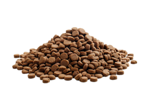 ai généré pile de sec chien nourriture croquettes png