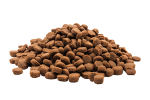 AI generated Pile of Dry Dog Food Kibble png