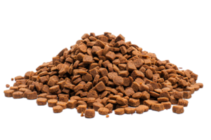 ai généré pile de sec chien nourriture croquettes png