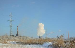 The industrial plant is located behind the swampy terrain, covered with snow. Large field of yellow bulrushes photo