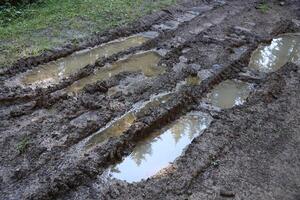 Muddy tracks with puddles on wet muddy surface in forest path photo