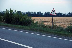 Empty asphalt road and floral field of different grass and flowers in evening time photo