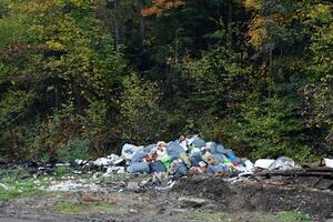 Garbage pile without dumpster scattered all over the street in forest photo