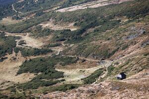 Single wooden hut on hilly mountains terrain with fir trees and rough relief. Coniferous forest in the foreground. Tourism, travel photo