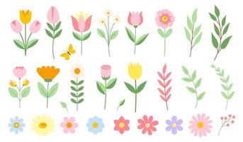 Set of spring beautiful flowers vector