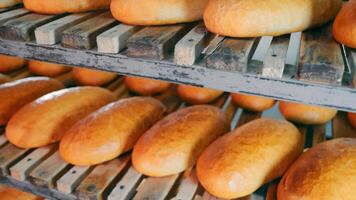 recién horneado centeno un pan en el estantería en el panadería. el un pan es enfriado antes de rebanar y embalaje. un pan panadería. video