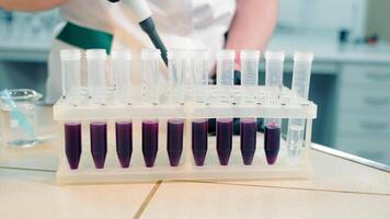 Mixing chemicals in test tubes close-up. The laboratory assistant adds the violet solution to the test tubes. Soil research video