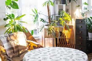 Empty round table for installation and demonstration of product in interior with Tropical indoor plants in country green house . Houseplant Growing and caring for potted plant, greenhome in cottage photo