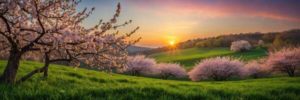 AI generated Blooming spring background - apple trees in the garden in flowers, the first spring flowers, nature blooms. AI generated photo