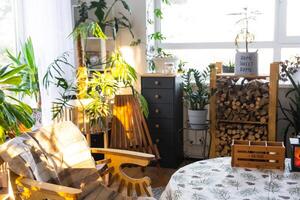 Tropical indoor plants in the interior room white loft in country house, wooden furniture, firewood for fireplace in sunlight. Houseplant Growing and caring for potted plant, green home in cottage photo