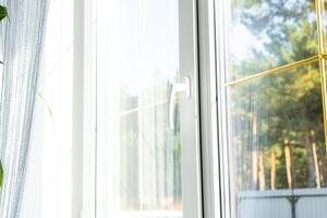 ventana desde dentro el casa el plastico con doble acristalamiento ventana ver fuera de a el soleado bosque - interior salón con en conserva plantas, limpiar vaso después limpieza ventanas, cerrado ventana foto