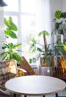 Empty round table for installation and demonstration of product in interior with Tropical indoor plants in country green house . Houseplant Growing and caring for potted plant, greenhome in cottage photo