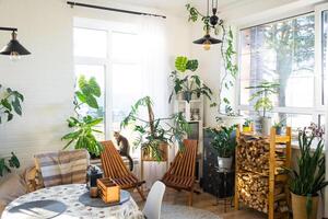 Tropical indoor plants in the interior room white loft in country house, wooden furniture, firewood for fireplace in sunlight. Houseplant Growing and caring for potted plant, green home in cottage photo