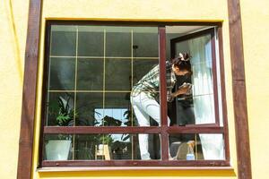 A woman manually washes the window of the house with a rag with a spray cleaner and a mop outside. Safety at height, restoring order and cleanliness in the spring, cleaning service photo