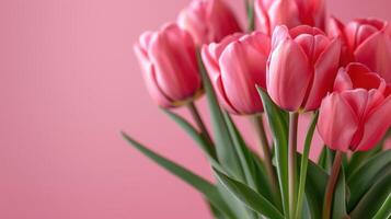 AI generated Beautiful pink tulip flower isolated on pink pastel background photo