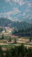 un' pittoresco strada avvolgimento attraverso un' lussureggiante foresta video