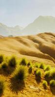 A stunning computer-generated desert landscape with majestic mountains video