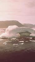 ein atemberaubend Anzeige von Eisberge schwebend auf ein heiter Körper von Wasser video