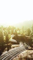 un vide route enroulement par une pittoresque forêt à le coucher du soleil video