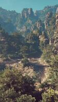 un' panoramico Visualizza di un' montagna con alberi e montagne nel il sfondo video