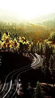 An empty road winding through a picturesque forest at sunset video